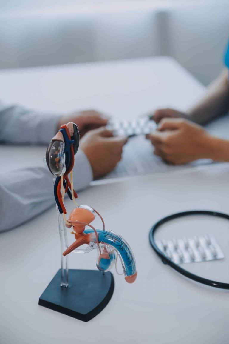 doctor-uses-anatomical-model-explain-male-urinary-system-model-labeled-with-parts-doctor-points-explains-how-they-work-together-urinary-function-ensuring-patient-comprehension-2-scaled.jpg